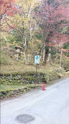 The Magic of Nikko: Exploring Japan’s Most Stunning Shrine #shorts