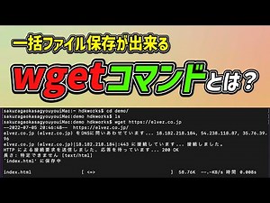 ターミナルでwgetコマンドを使ってみよう