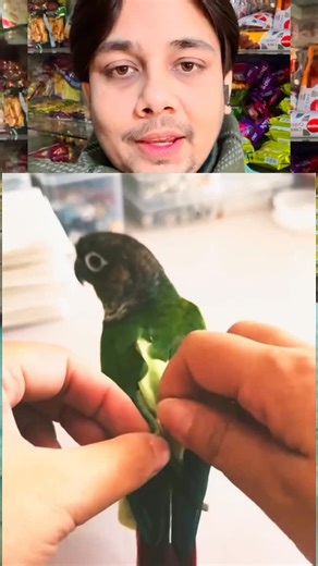 Mohmmad Asif on Instagram: "Oo bhai #foryou #reelkarofeelkaro #viral #instagood #majafri #foryoupage #trending"