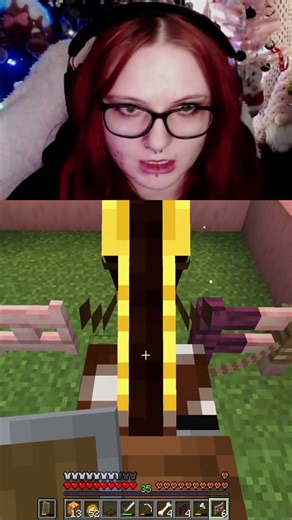 Miten vaikeaa on saada hevonen aitaukseen 🐴