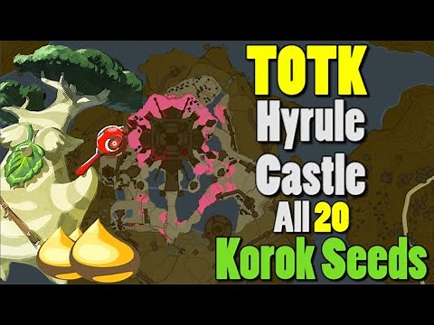 All Hyrule Castle Korok Seeds (20) | Tears of the Kingdom #totk