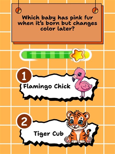 Can you answer this easy question? #quizchallenge #dailyquestion #animalquiz #questionoftheday #quizrecess