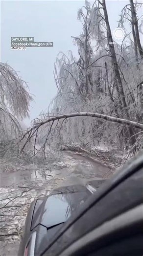 Rare March Michigan Ice Storm Knocks Out Power for 1 Million