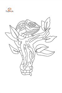 Chameleons coloring pages for Adults - Online or Printable
