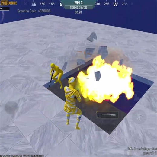 Levinho Fan vs Psycho Hardest 100k Uc Challenge 🔥