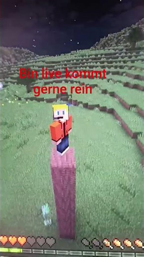 #blaulichtfamilie #feuerwehr #einsatz #edit #minecraft #fortnite #deutsch #memes #fvp #funny