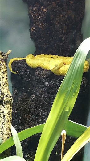 Naturkundemuseum Karlsruhe #ausflugstipps #ausflugsziel #karlsruhe