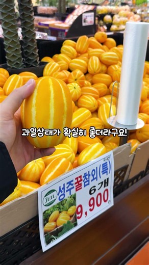 오이, 소주가 전부 백원??? 춘천 제일식자재 진짜 가격 보고 충격받았어요...