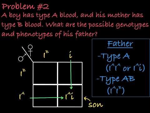 ABO Blood Type Practice Problems
