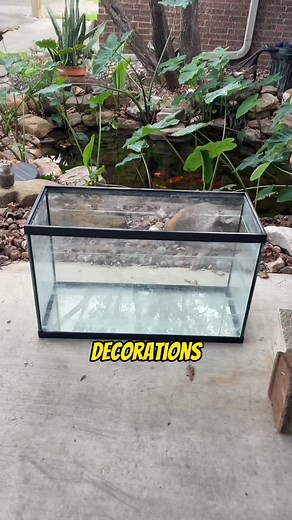 DIY Fake Fish Pond Tutorial