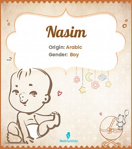 Nasim Name Meaning: Guide To Pronunciation, Popularity & More Name Meaning, Origin, History, And Popularity
