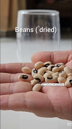 Dancing Beans STEM Activity/ Easy Science Experiment #stem #scienceforkids #okul #kids ‪@momkidhub‬