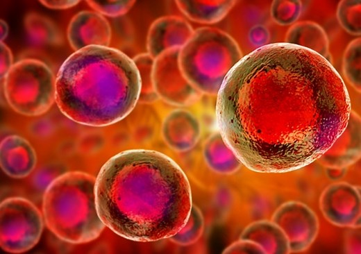The blood stem cell research that could change medicine of the future