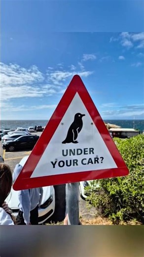 Only in Cape Town: The Funniest Road Signs You’ll Ever See