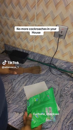 Effective Ways to Eliminate Cockroaches from Your Home