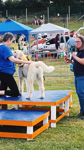 Doggy Celebration Weekend 2025 🐶🥳 Thank you all for helping raise £2422 for Animal Connexions Rescue & Rehoming and Tyrone Husky Rescue. Two fantastic, small animal charities here in Northern Ireland. 🐕 Doggy Celebration Weekend will return August 2026 🧡 Massive thanks to CaptureNI for this amazing video of the weekend 👏💙 | Beechgrove Doggy Fun Park, Behaviour & Training Centre