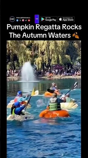 Epic Pumpkin Boat Race Highlights —Watch The Pumpkin Regatta In Action! 🎃🚤 #Pumpkins