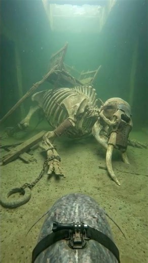 A Catfish Found an Abandoned Underwater Ancient Battlefield… #shorts #abandoned