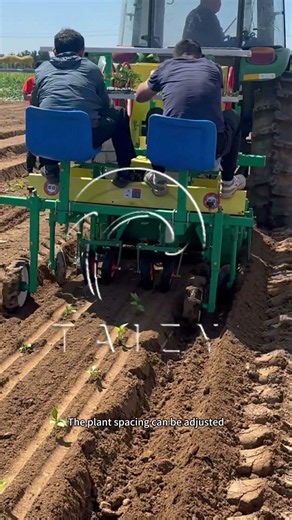 How a 2 Row Tractor Transplanter Works | Fast & Accurate Seedling Planting