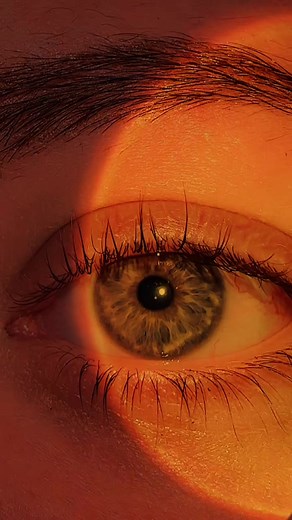 closest thing to a vanilbean face reveal you’re ever gonna get // ib: straight tok #roblox #vanilbean #foryoupage #robloxtrend #viral