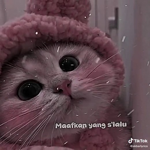 Aishiteru-3 #liriklagu #aishiteru3 #sisigelap #akbarlyrics #trend #viral #fyp