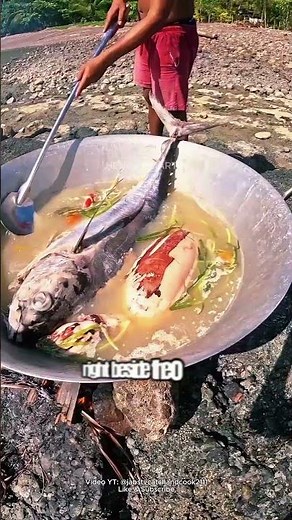 INSANE! Cooking and Eating Whole Tuna Soup & Giant Squid by the Sea! Fresh Seafood Feast #fish #fres