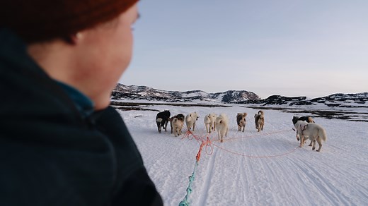 How Greenland's cherished sled dog tradition is threatened by climate change