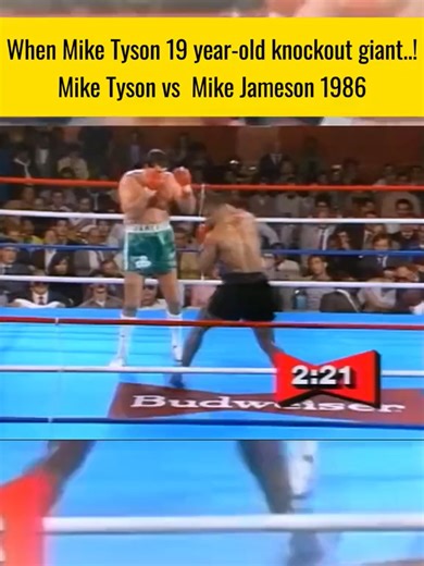 Mike Tyson vs Mike Jameson | Greatest Boxing Match Ever