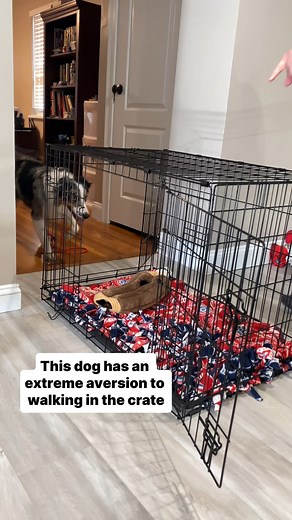 357K views · 13K reactions | This is a great example of meeting your...