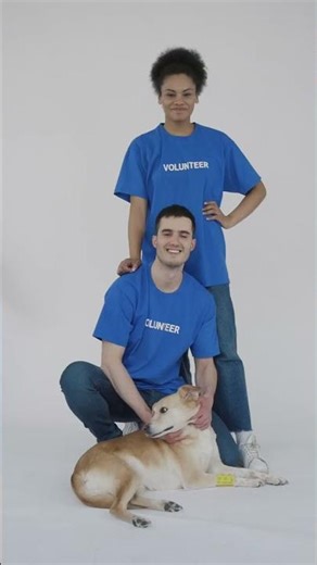 Why does your credit score matter for your insurance rates? Because in #Shorts