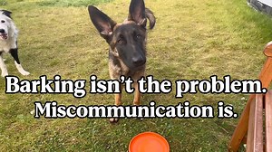 How you respond to barking shapes your dog’s brain, emotions, and your entire relationship. Let’s fix communication first. We recently talked about recognizing those brief, precious moments of quiet and understanding the “why” behind your dog’s barking. Today, let’s expand on that with another thoughtful, neuro-affirming way to manage barking and build better communication. Your dog’s barking isn’t defiance, it’s communication. And the way you respond directly shapes their brain, emotions, and y