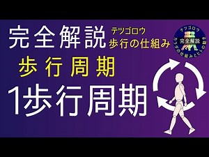 【完全解説】歩行周期 1歩行周期、立脚相と遊脚相の時間割合、単脚支持期と両脚支持期、立脚相と遊脚相の構成について、イラストとアニメーションを使用して、カンタン・丁寧に解説します。