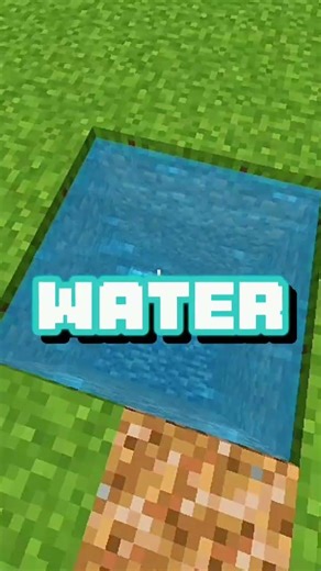 Use Of Turtle Shell #minecraft #shorts #minecraftshorts