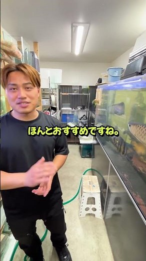 【コケ対策の決定版】水槽のコケを抑える効果的な方法 #セカンドアクア #江戸川区 #熱帯魚 #アクアリウム #水草 #金魚 #コケ対策 #メンテナンス