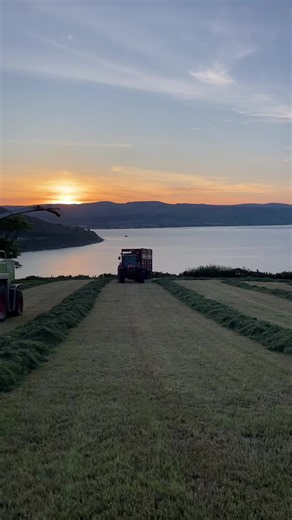 6290 Yearly Post: A Beautiful View of Grass & Sunrise 🌅