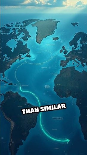 How Ocean Currents Shape Earth's Climate