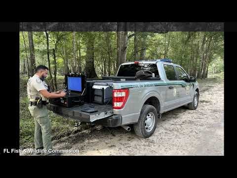 The Skunk Ape: Florida's Hidden Primate They Don't Want You to Know About