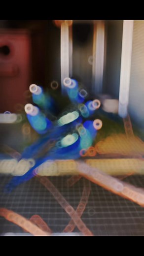 Northern Rosella #rosella #viralreelschallenge2025viralreelschallengejaiviralreelschallengeviralreelschallenge#fyp | Birds Community