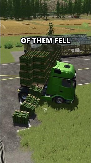 New bug in Farming Simulator 25