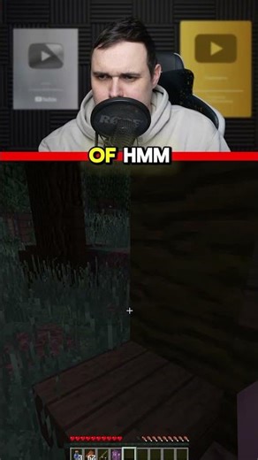 Ik word achtervolgt... (Minetopia)