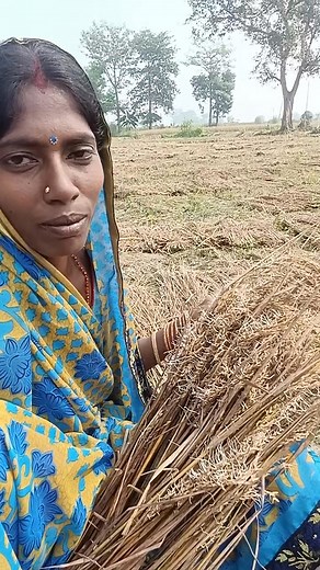 Dhaan Ja mangalwar | Sima Devi