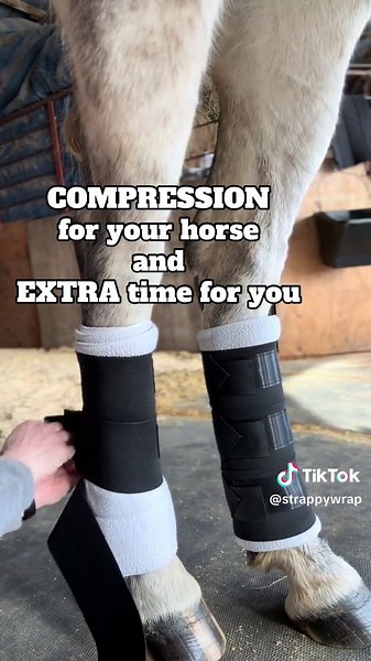 LESS TIME wrapping…MORE TIME TO: 💜Cool down 🧡Stretch 💙Ice 🩷Massage ❤️LOVE Save more time for other post recovery items while still getting beneficial compression. StrappyWrap is a 👏🏻must👏🏻have for your tack box. • #horselegcare #horsestandingwrap #horsebandages #horsecompression #horsecare #horsehealth #equinerehab #horseinjury #howtowraphorse #horsetherapy #equestrianlife #horsegrooming #horselove #cutting #reining #dressage #eventing #showjumper #westernpleasure #barrelracing #sporthor