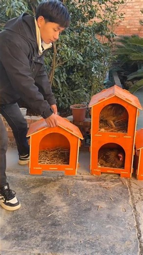 Orange Wooden Slot-Together Crate🐶🐱🦝🐕👍👍