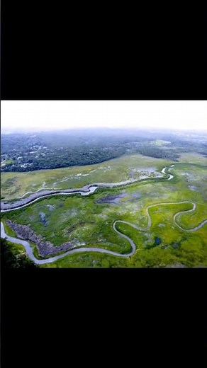 Embu-Guaçu: O Refúgio de Natureza Escondido do Lado de São Paulo! 🌿