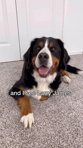 Grizzly Bane on Instagram: "Derek plays basketball 😅 audio- @jasonbankscomedy"