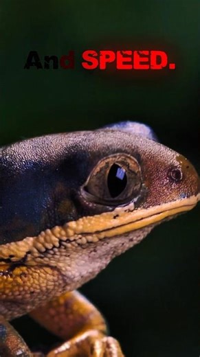 Doğanın en hızlı canlıları!!! NATURE'S SPEED MACHINES! #fastestanimal