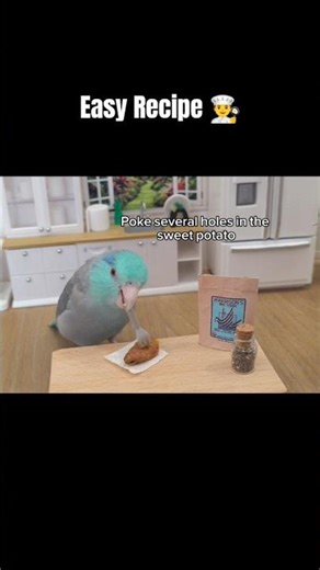 Parrot food recipe for birds parrotlet budgie lovebird #harrisonsbirdfoods #ad