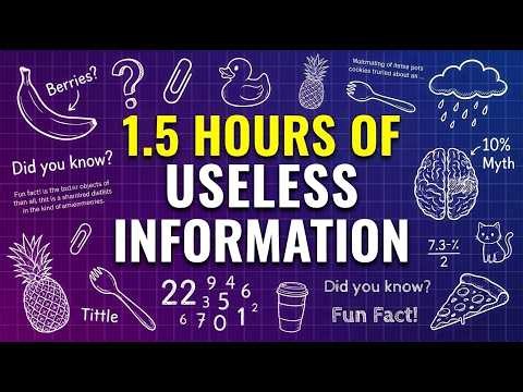 A Solid 1.5 Hours of Useless Information to Fall Asleep To 😴