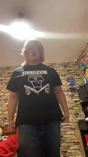 Descendientes: La fusión del punk y lo alternativo