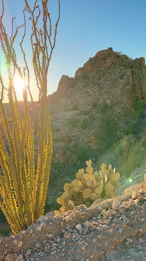 Exploring the Unique Beauty of West Texas | Texas Travel Guide